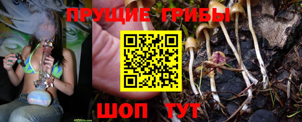 Каменск-Уральский  Псилоцибиновые грибы GOLDEN TEACHER  Вход с VPN 